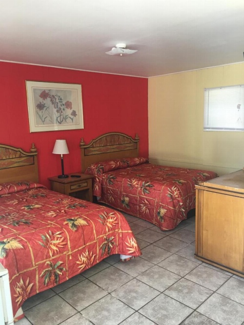 Shelton Motel image 8